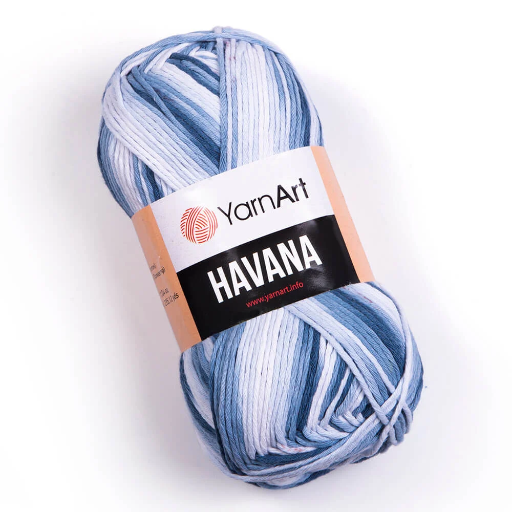 YARNART HAVANA 2110